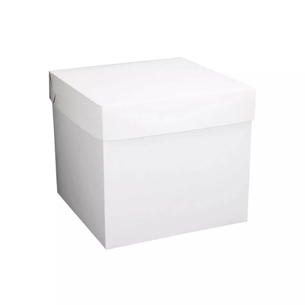Caja Blanca Cubo 22x22x22 cm