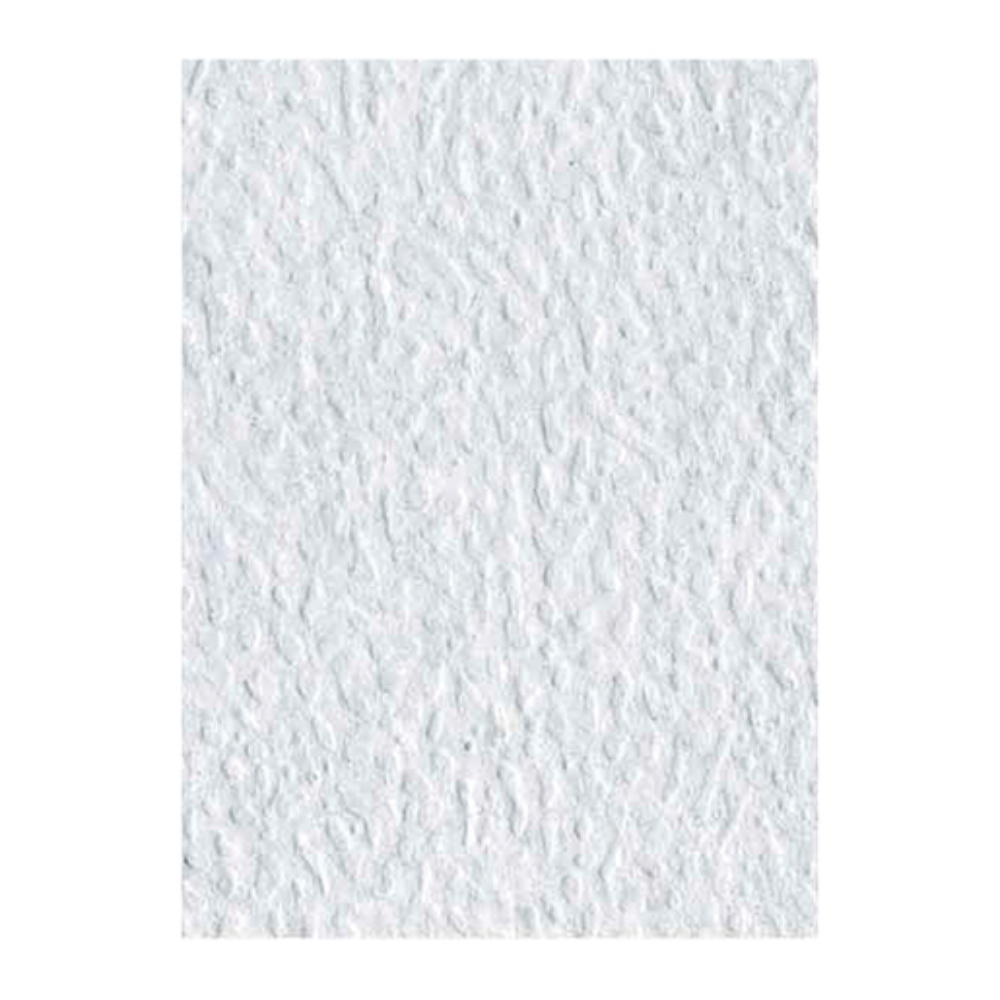 Carton De Huevo 1/2 (Grande)