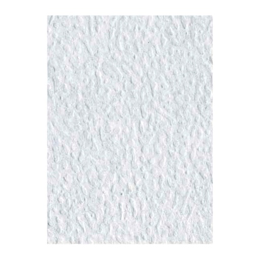 Carton De Huevo 1/4 (Mediano)